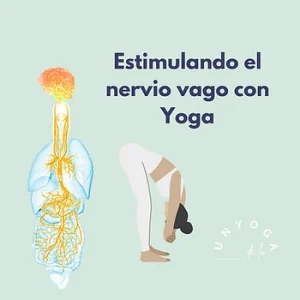 estimulando el nervio vago con Yoga